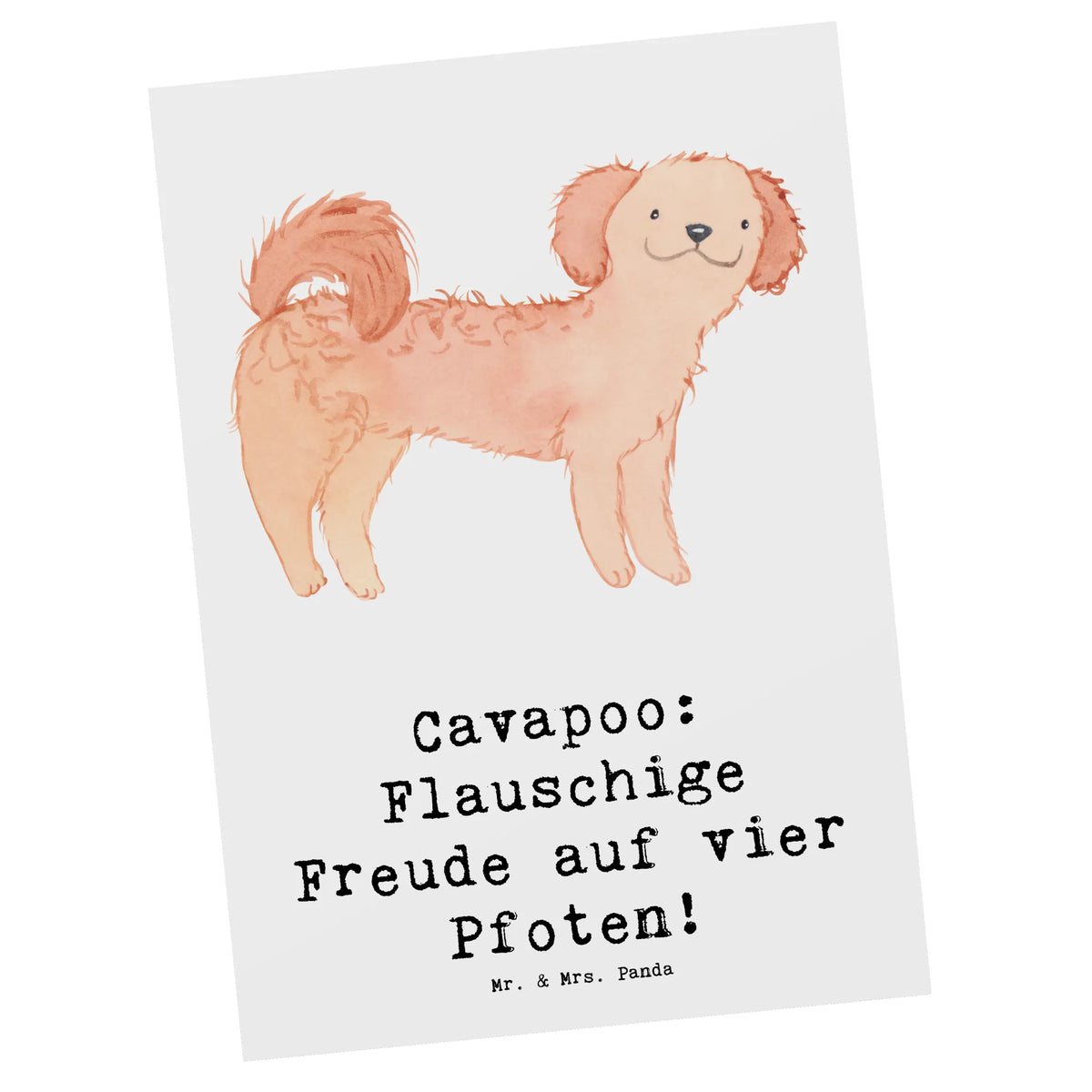 Postkarte Cavapoo Flauschigkeit Postkarten, Fotokarte, Designkarte, einzelkarte, spruchkarte, Ansichtskarten, Ansichtskarte, Kunstkarten, Grußkarte, kunstkarte, Motivkarte, bildkarte, Postkarte, Geschenk, Schenken, Hund, Hunderasse, Rassehund, Hundebesitzer, Tierfreund, Welpe