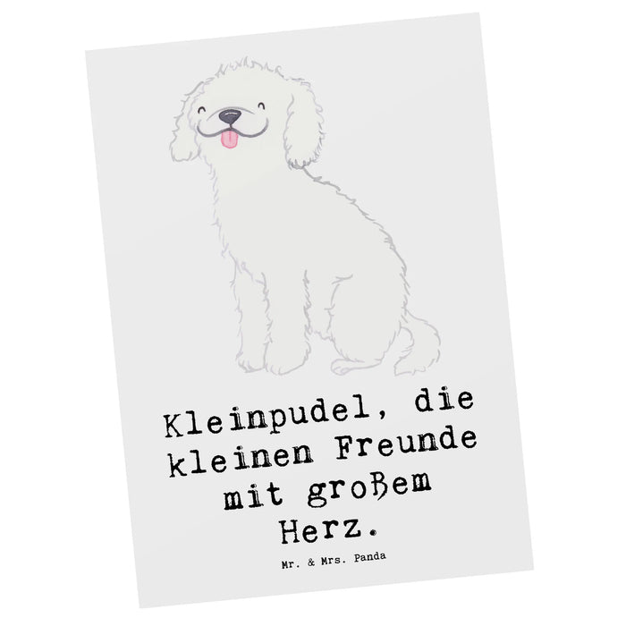 Pocztówka Kleinpudel, die kleinen Freunde mit großem Herz.